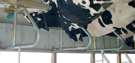 Designed to make the cows environment much cleaner & drier.
