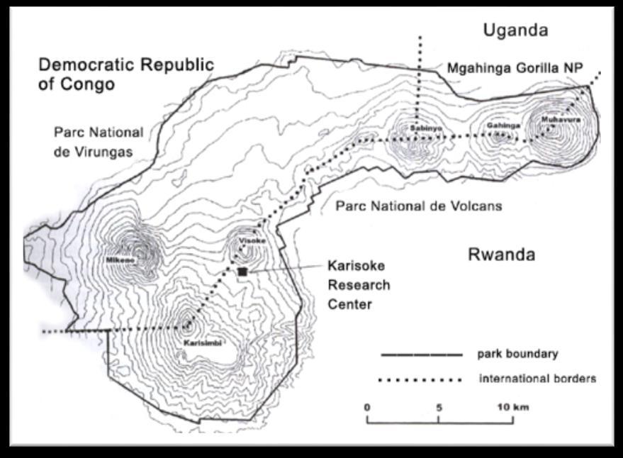 4 any areas above 3,3500m [Fossey, 1974; Harcourt & Curry-Lindahl, 1979; Watts, 1984; McNeilage, 2001].