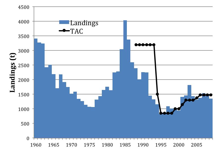 The average annual landings since 1960 for the Scotian Shelf and southern Grand Banks management unit were approximately 1900 t (DFO 2006) (Figure 22).