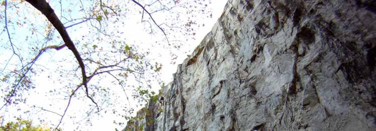 Warning about Rock Climbing This climbing guide has been developed to help climbers find out what climbs have been recorded and that is all.