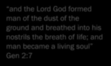 and the Lord God formed man of the dust of the ground