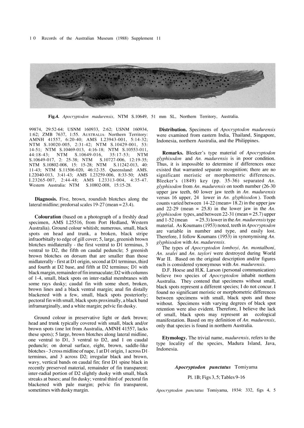 1 0 Records of the Australian Museum (1988) Supplement 11 Fig.4. Apocryptodon madurensis, NTM S,649, 51 99874, 29:52-64; USNM 160933, 2:62; USNM 160934, 1 :62; 2MB 7637, 1 :55.