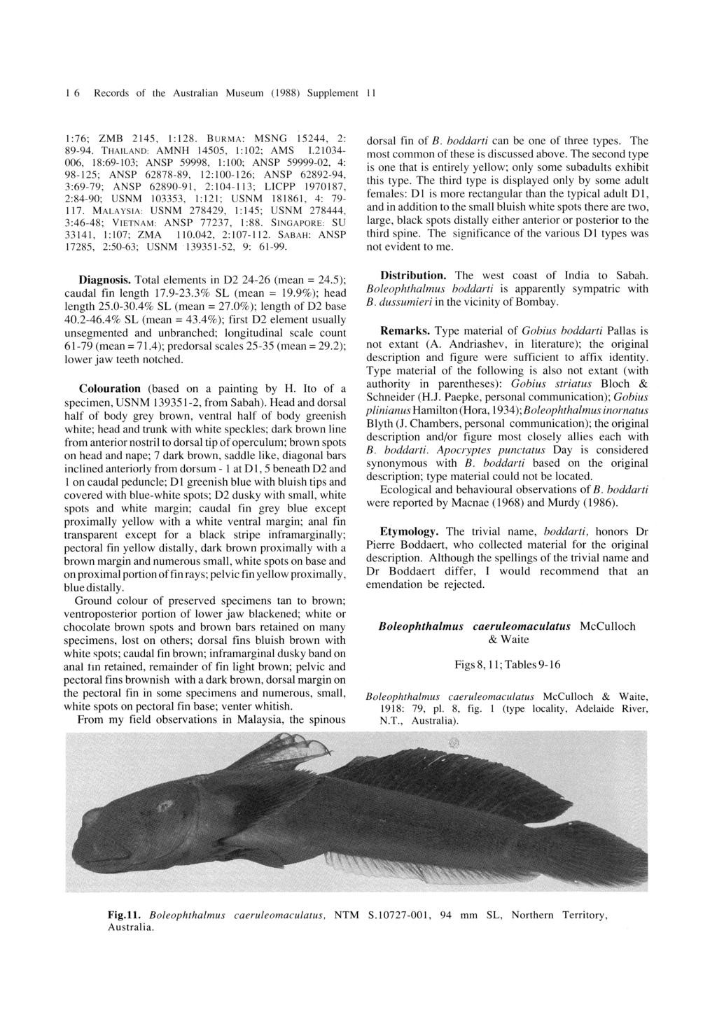 I 6 Records of the Australian Museum (1988) Supplement [I 1:76; 2MB 2145, 1:128. BURMA: MSNG 15244, 2: 89-94. THAILAND AMNH 14505, 1:2; AMS 1.