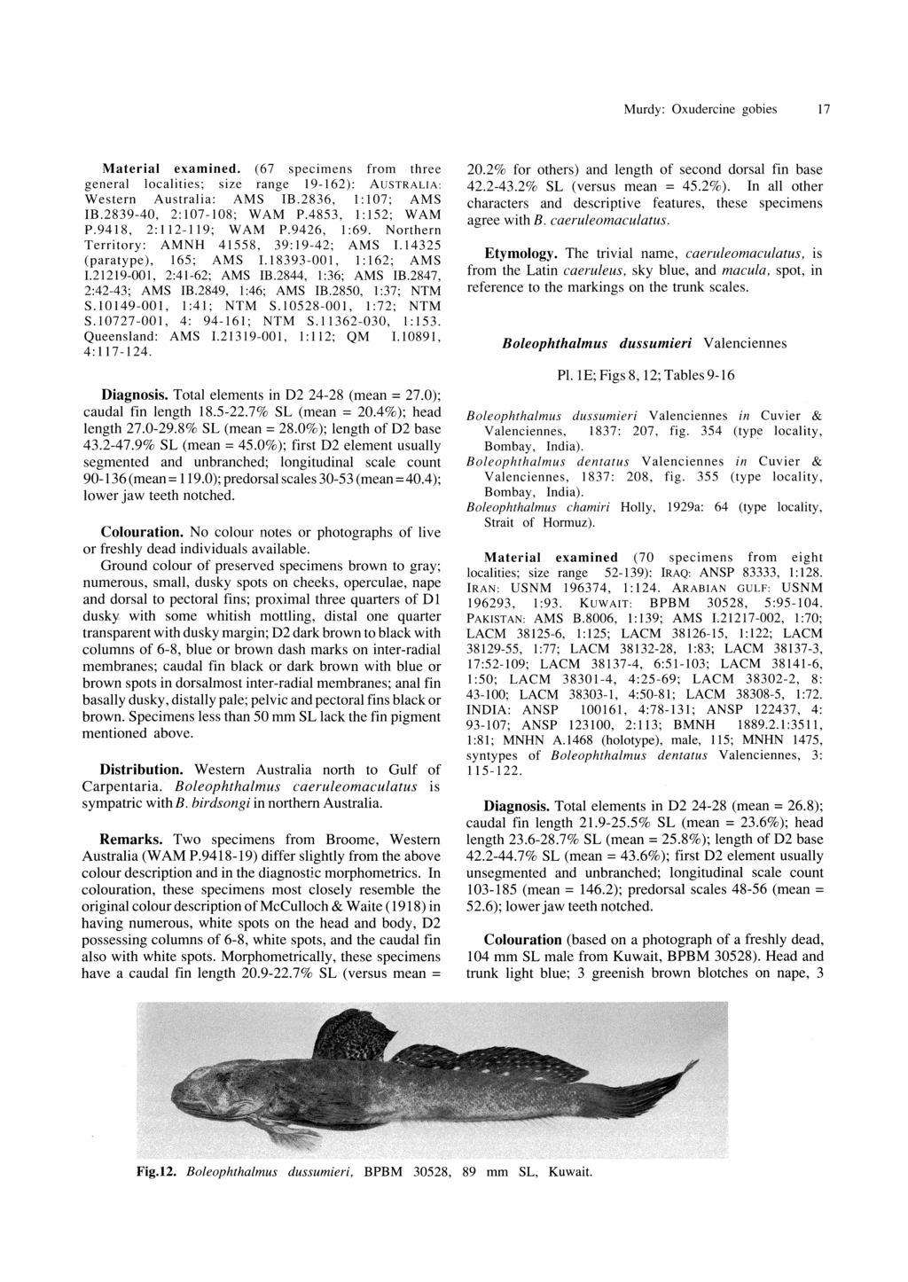 Murdy: Oxudercine gobies 17 Material examined. (67 specimens from three general localities; size range 19-162): AUSTRALIA: Western Australia: AMS IB.2836, 1: 7; AMS IB.2839-40, 2:7-8; WAM P.