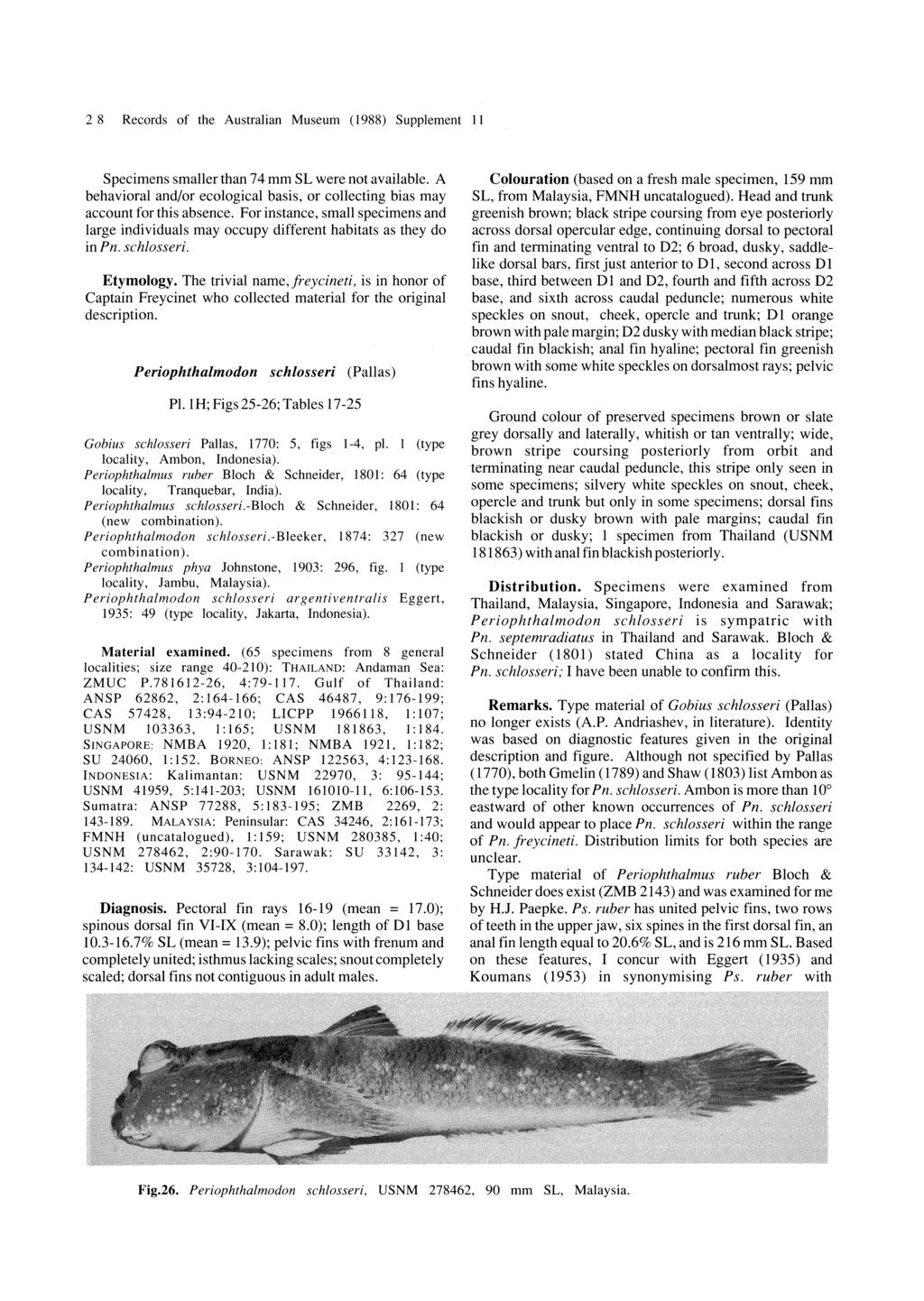 28 Records of the Australian Museum (1988) Supplement 11 Specimens smaller than 74 mm SL were not available. A behavioral and/or ecological basis, or collecting bias may account for this absence.