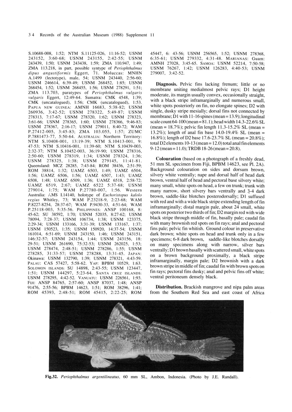 34 Records of the Australian Museum (1988) Supplement 11 S.688-008, 1 :52; NTM S.11125-026, 11: 16-52; USNM 243152, 3:60-68; USNM 243155, 2:42-55; USNM 243439, 1:50; USNM 243438, 1:59; ZMA 1.