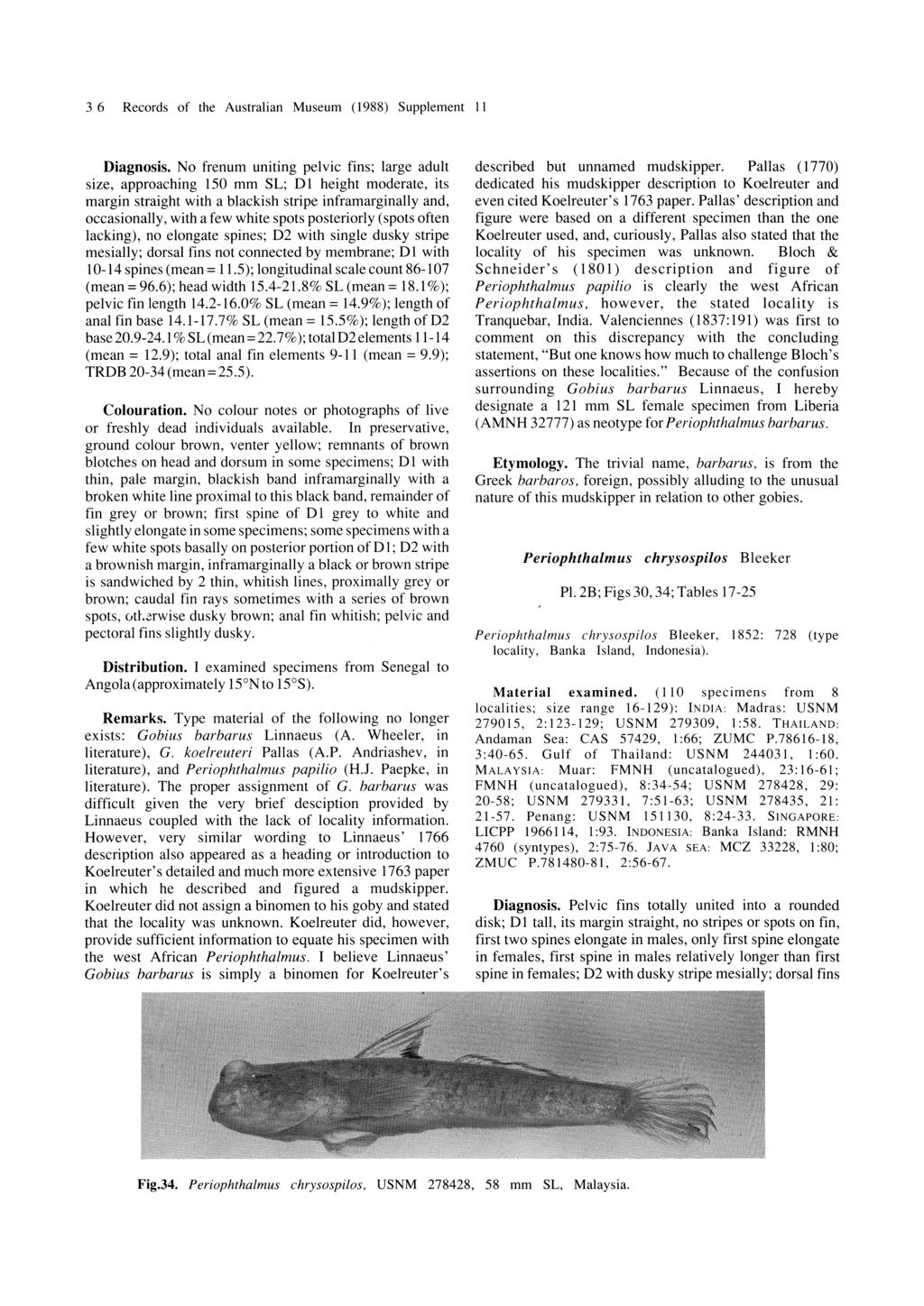 3 6 Records of the Australian Museum (1988) Supplement 11 Diagnosis.