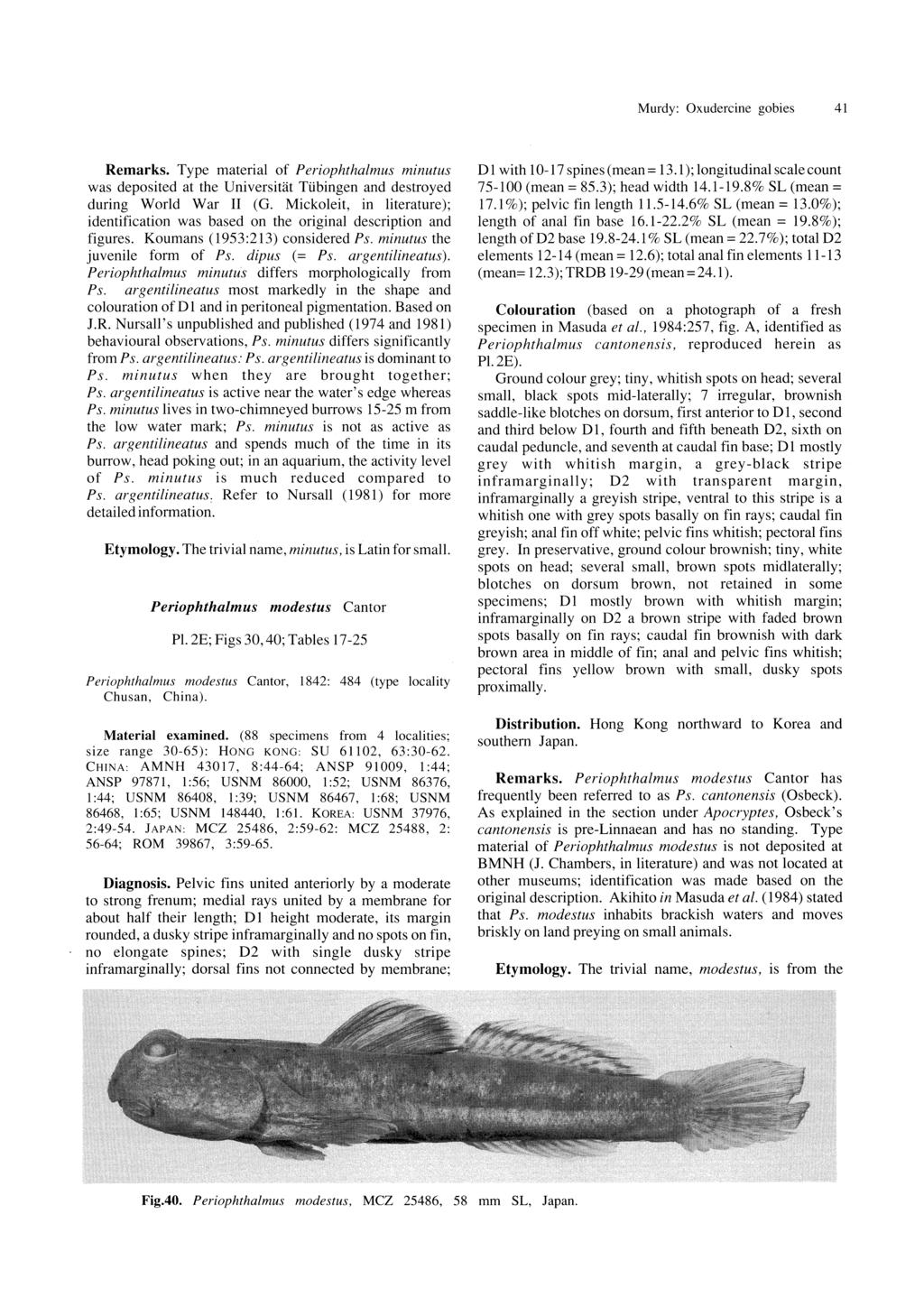 Murdy: Oxudercine gobies 41 Remarks. Type material of Periophthalmus minutus was deposited at the UniversWit Tiibingen and destroyed during World War II (G.