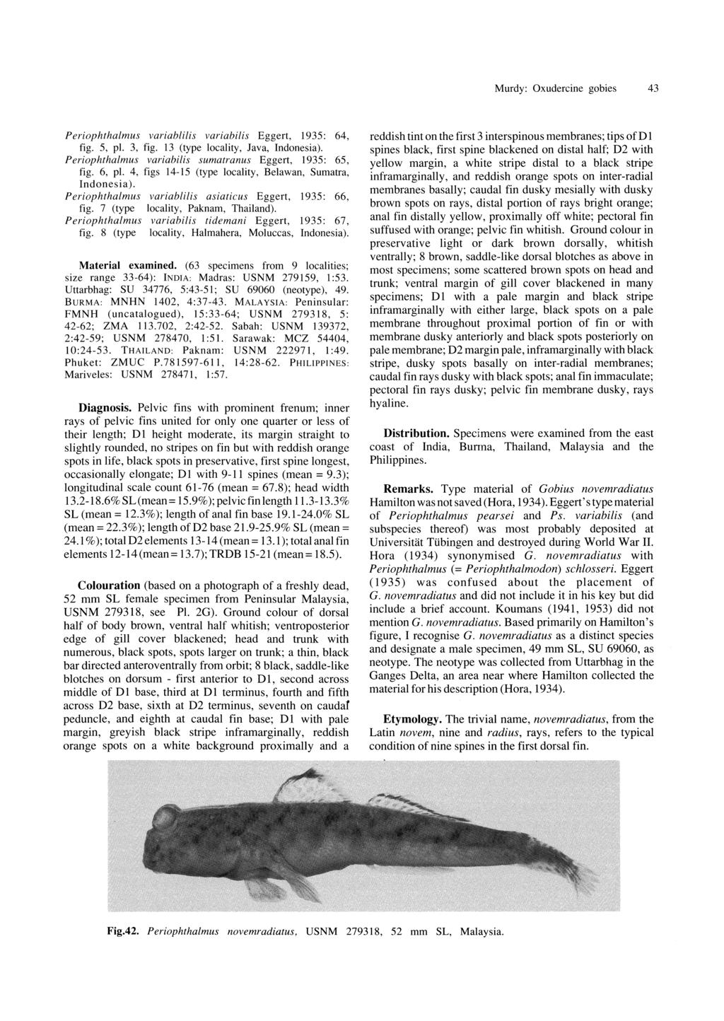 Murdy: Oxudercine gobies 43 Periophthalmus variablilis variabilis Eggert, 1935: 64, fig. 5, pi. 3, fig. 13 (type locality, Java, Indonesia). Periophthalmus variabilis sumatranus Eggert, 1935: 65, fig.
