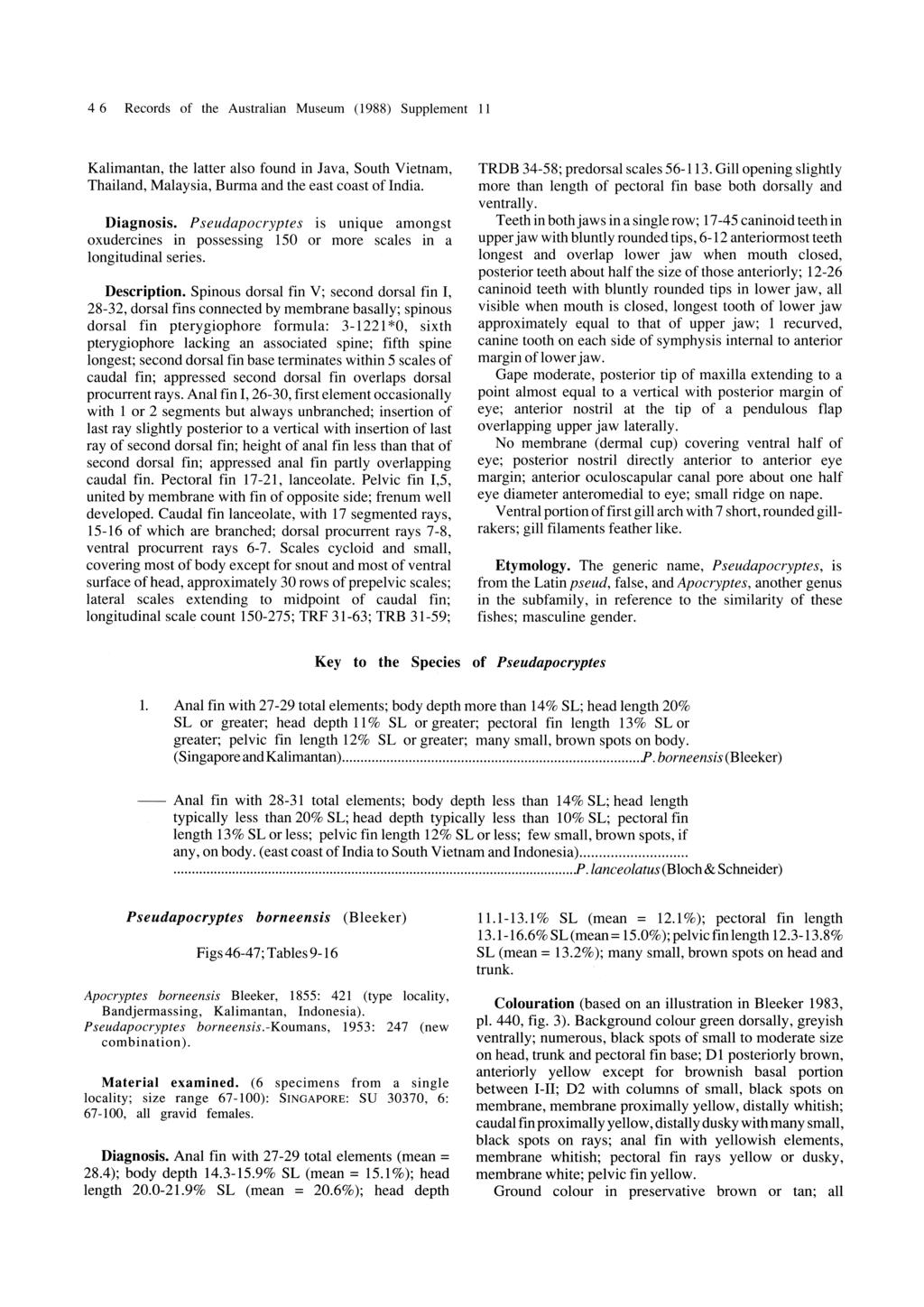46 Records of the Australian Museum (1988) Supplement 11 Kalimantan, the latter also found in Java, South Vietnam, Thailand, Malaysia, Burma and the east coast of India. Diagnosis.