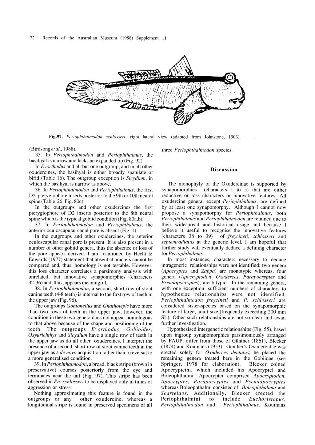 72 Records of the Australian Museum (1988) Supplement II Fig.97. Periophthalmodon schlosseri, right lateral view (adapted from ]ohnstone, 1903). (Birdsongetal., 1988). 35.
