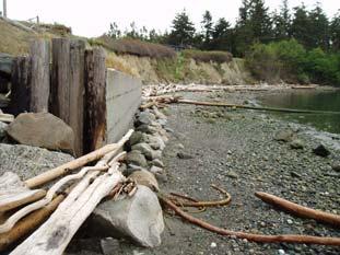 Bay-north Redesign/reconfigure current beach access.