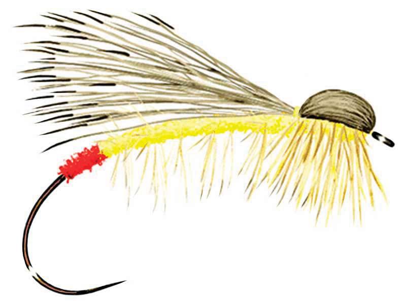8 TARGET TALK JULY 2012 Fly of the Month: Bullethead Yellow Sally JOHN VAN DERHOOF, EDITOR Over the years I have always enjoyed the buggy, entomological aspect of tying flies.