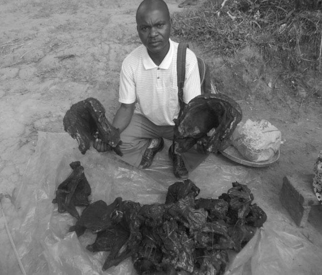 D. R. CONGO Bushmeat killed and smoked in the park Photo: POPOF In general, if teams of rangers patrol in the eastern sector, people will move into the western sector to avoid them.