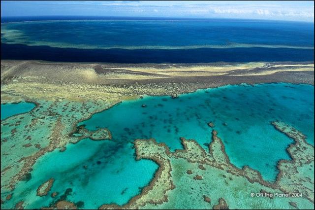 coral growth produces a barrier reef