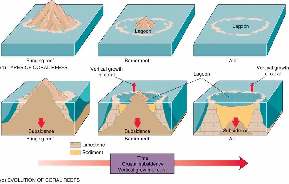 Charles Darwin & Reef Formation On HMS Beagle (1831-1836): identified 3 types of