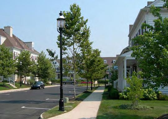 5 Street lights shall be located to complement sidewalk and street tree features along the Streetscape. 13.