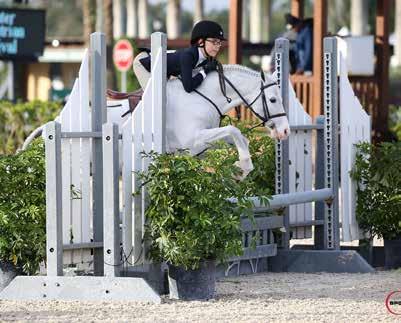 During week two of the winter circuit, held the Palm Beach International Equestrian Center (PBIEC), Minikus topped the $86,000 Marshall & Sterling Insurance Grand Prix CSI 2* riding Quality Girl.