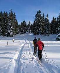 Nordic Skiing in Rochester Mendon Ponds Park 10 miles southeast of