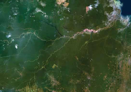 This satellite photo shows the Amazon River and some of the larger tributaries in the Amazon s drainage basin. There are many others that are too small to see. tributaries are different in color.