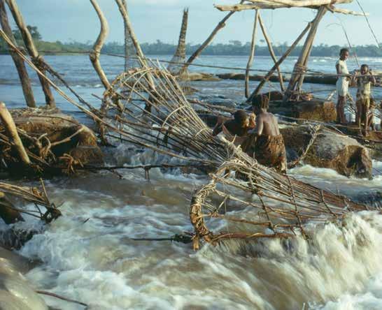 Fish traps in the raging Congo River and other dangers. Today there is a railroad along the part of the river where boats cannot pass. Boats pull over at one end of the railroad.