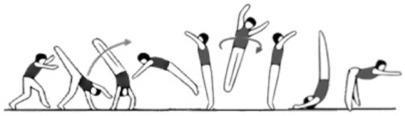 LEVEL 7 FLOOR EXERCISE Description Value Performance Expectations From standing, short run-up FORWARD HANDSPRING DIVE ROLL jump to face C-B (A-C) (C-B) No rebound between handspring and dive roll
