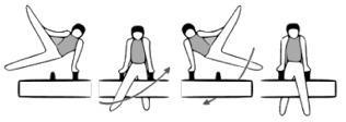 LEVEL 7 POMMEL HORSE Description Value Performance Expectations From stand at end of horse JUMP TO ½ DOUBLE LEG CIRCLE IN CROSS SUPPORT WITH ¼ TURN LEFT TO REAR SUPPORT SIDEWAYS (inward loop) right