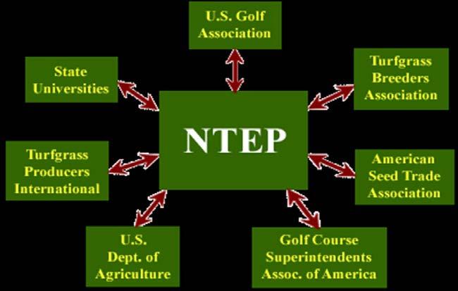 What is the NTEP?