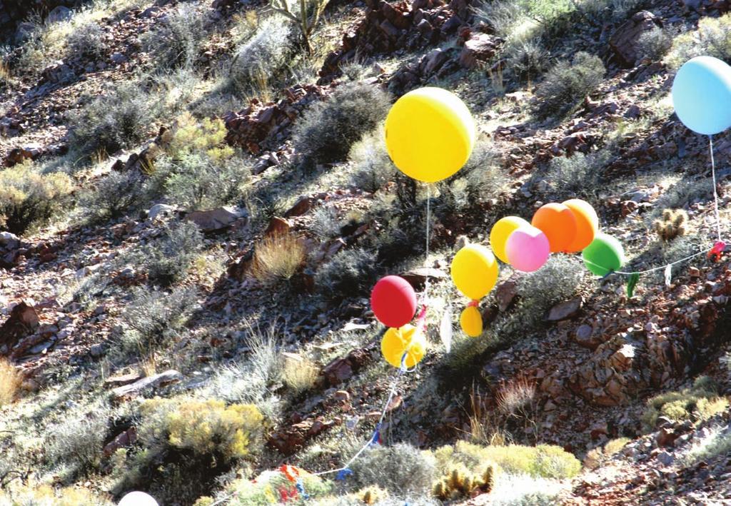 Photo courtesy of George Kerr, Society for the Conservation of Bighorn Sheep While researchers have seen a growing number of mylar balloons the shiny, less permeable metalized plastic films in the