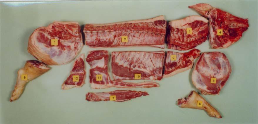 Pig carcass dissection according