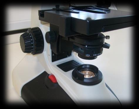 Clinical Skills: 7 8 9 C D Use a pipette to transfer one drop of the reconstituted sediment to a microscope
