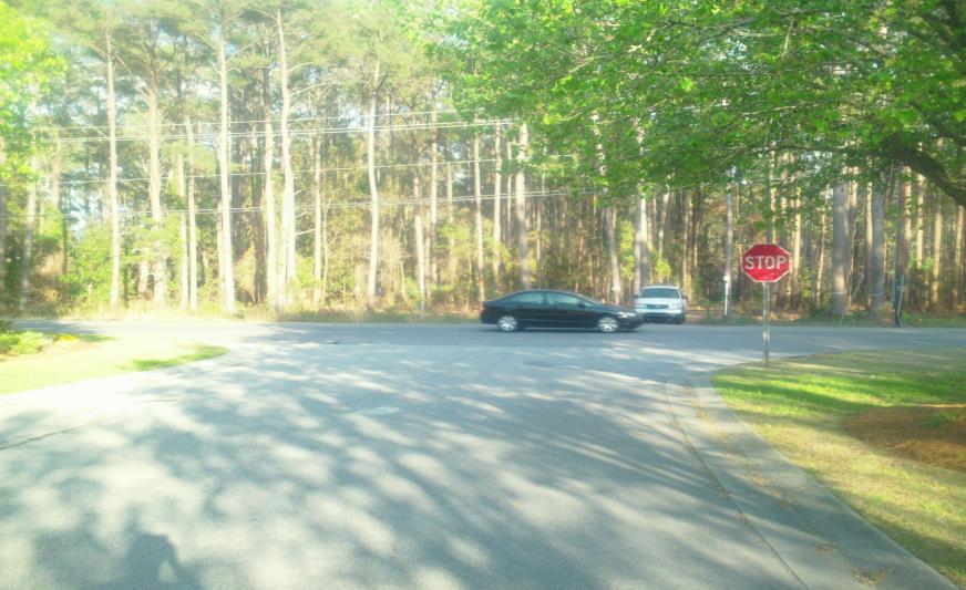 Masonboro Loop Road at Trailing Vine Lane