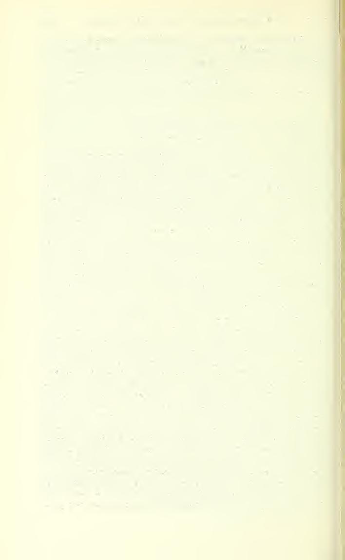 216 PROCEEDINGS OF THE NATIONAL MUSEUM vol.83 Type specimen. U.S.N.M. no. 39803; paratypes, no. 32840; all collected by W. L. Jellison, of the University of Montana.