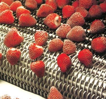 Fast-freezing food products Deep-freezing in the food sector is a conservation process used not only for the technical purposes linked to food product distribution, but also given the requirements of