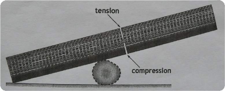 The compression cut MUST be the first cut with tension cut being the last.