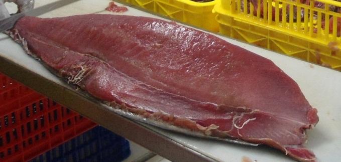 Figure 8: An example of a yellowfin