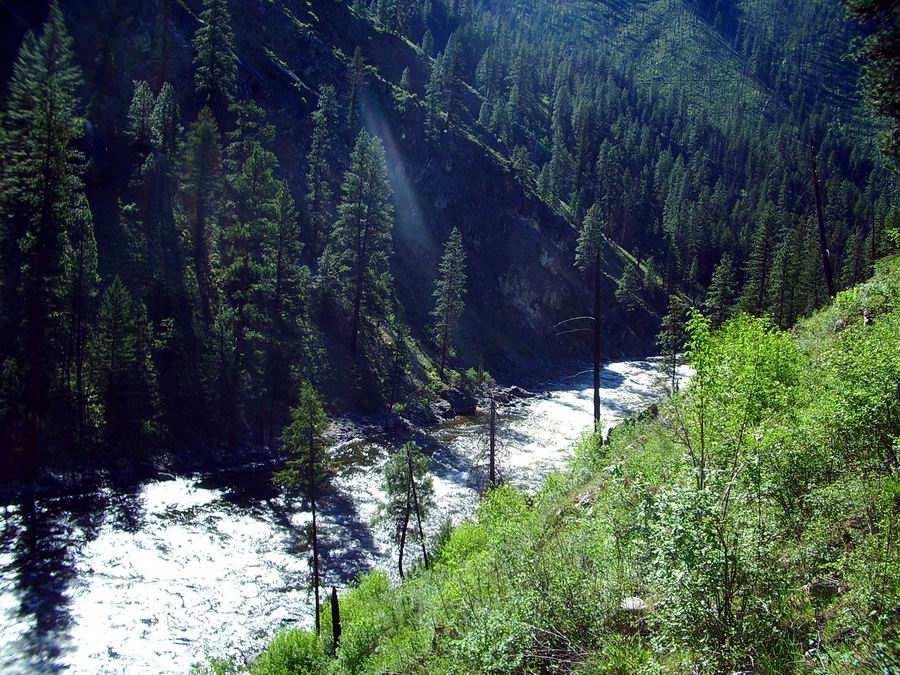 Salmon River and is located about 50 miles northeast of McCall, Idaho.