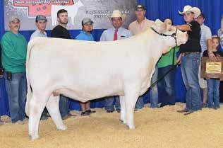 Sale Manager: Auctioneer: Rob Nord, Clinton, Illinois 217-519-0375 Charolais Journal Representative: David Hobbs, 913-515-1215 Sale Day Consultant: Scott Campbell, 309-337-0662 Online Live Bidding: