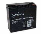 CHARGERS BATTERIES GSP100890 Cyclic battery 21ah supplied with bolts.