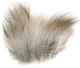 45226 GUINEA FOWL WING QUILLS 45021 LADY AMHERST TIPPET & TOPPING Lady