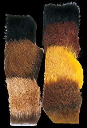 Hair length 4-5 cm Colours: Bleached, Brown, Chartreuse, Green,