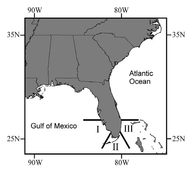 Figure 10. King mackerel winter mixing sample collections zones. From Patterson et al. 2004.