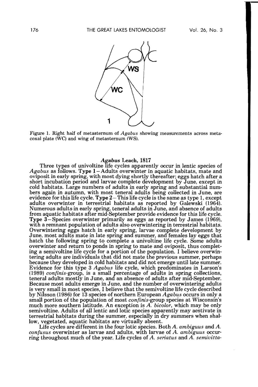The Great Lakes Entomologist, Vol. 26, No. 3 [1993], Art. 2 176 THE GREAT LAKES ENTOMOlOGIST Vol. 26, No.3 Figure 1.