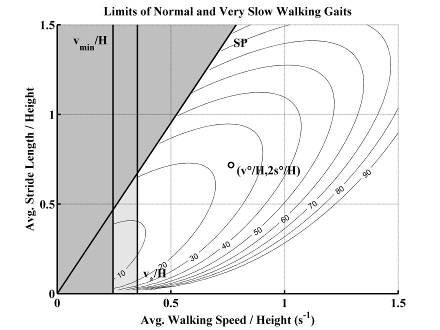 Figure 4. Limits of normal and very slow walking gaits. The limits corresponding to vv /HH and vv mmmmmm /HH are indicated by vertical lines.