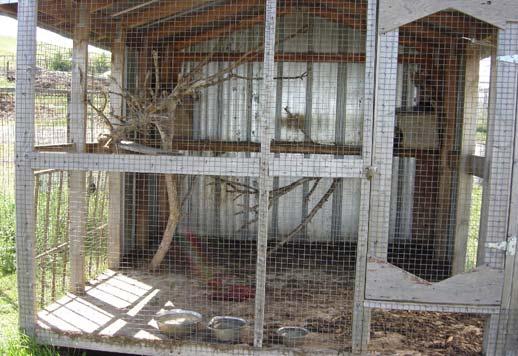The fox in this enclosure has only a sleeping box for privacy A number of enclosures fail to provide appropriate privacy opportunities for the animals.
