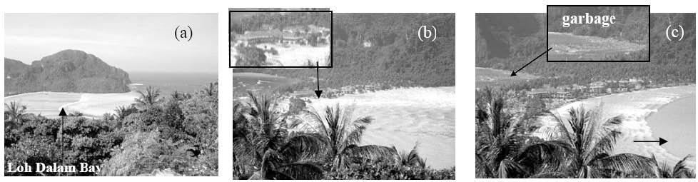 Both north and south sides of the tombolo suffered extensive damage. Internet photos (Fig. 4) indicate that the tsunami came from the north side of the tombolo (Loh Dalam Bay, Figs. 4a & 5a).