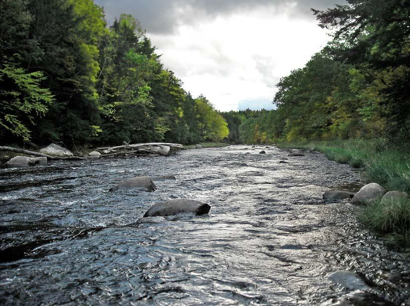JIM RICCARDI DOUG STAMM PHOTOGRAPHY The fast-flowing Ashuelot River features miles of scenic beauty. Brookies (above) are a popular target for anglers.