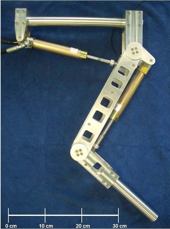The cylinder of the hip joint has the same characteristics but features a lever length of 38 mm due to a slightly different end point attachment. D.
