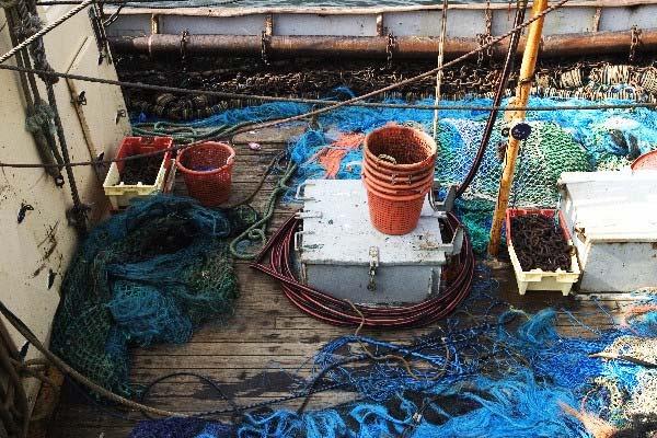 A study concluded in 23 in Belgian brown shrimp fisheries shows that a higher proportion of the catch is thrown overboard.