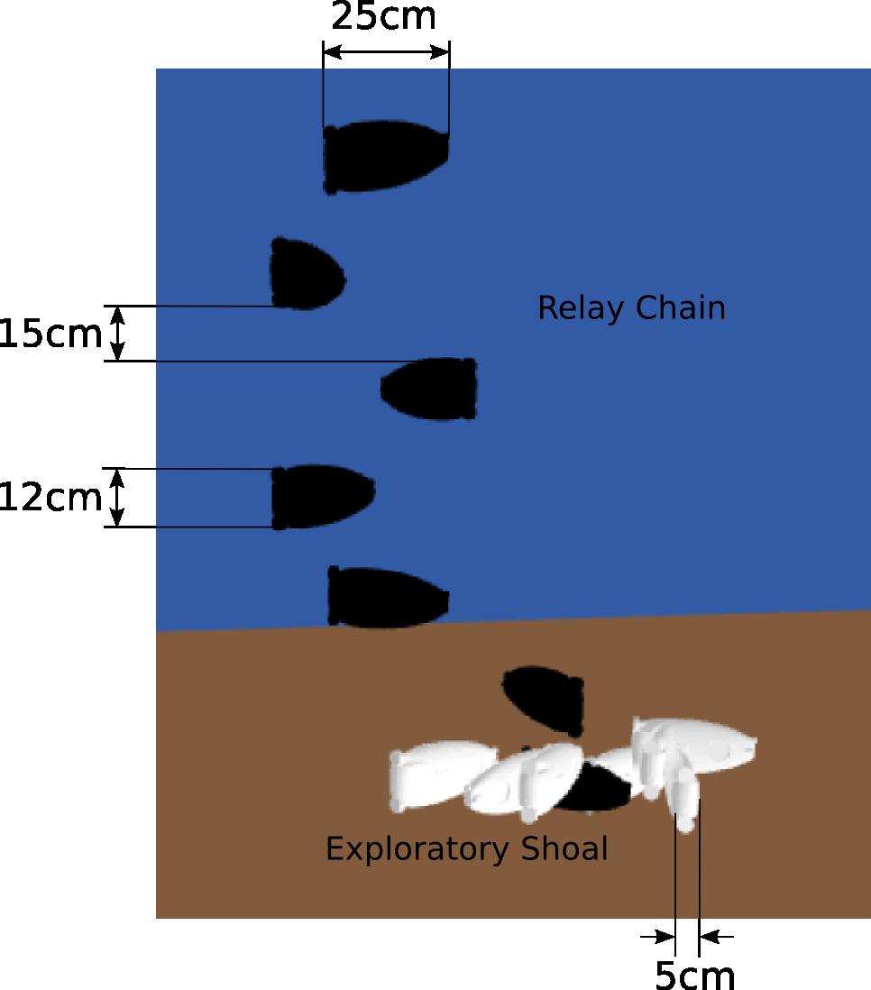 Figure 2: CoCoRo simulation environment, Relay Chain robots are black and exploratory shoal are white. traversing the chain can also be recruited.